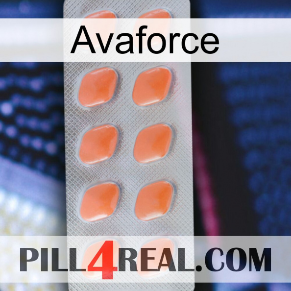 Avaforce 26